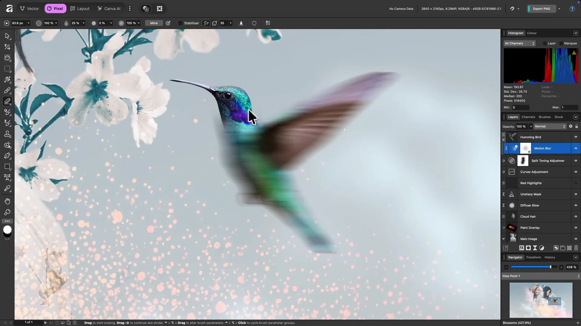 Image Editing